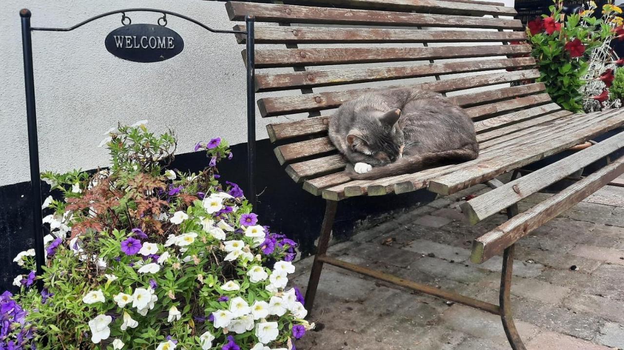 Rustiek Andijk Panzió Kültér fotó