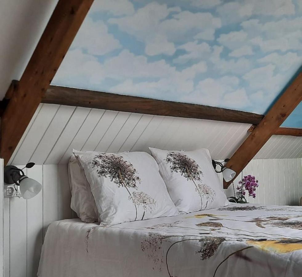 Rustiek Andijk Panzió Kültér fotó